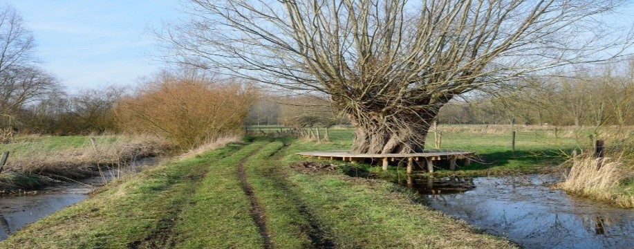 Scheldemeersen